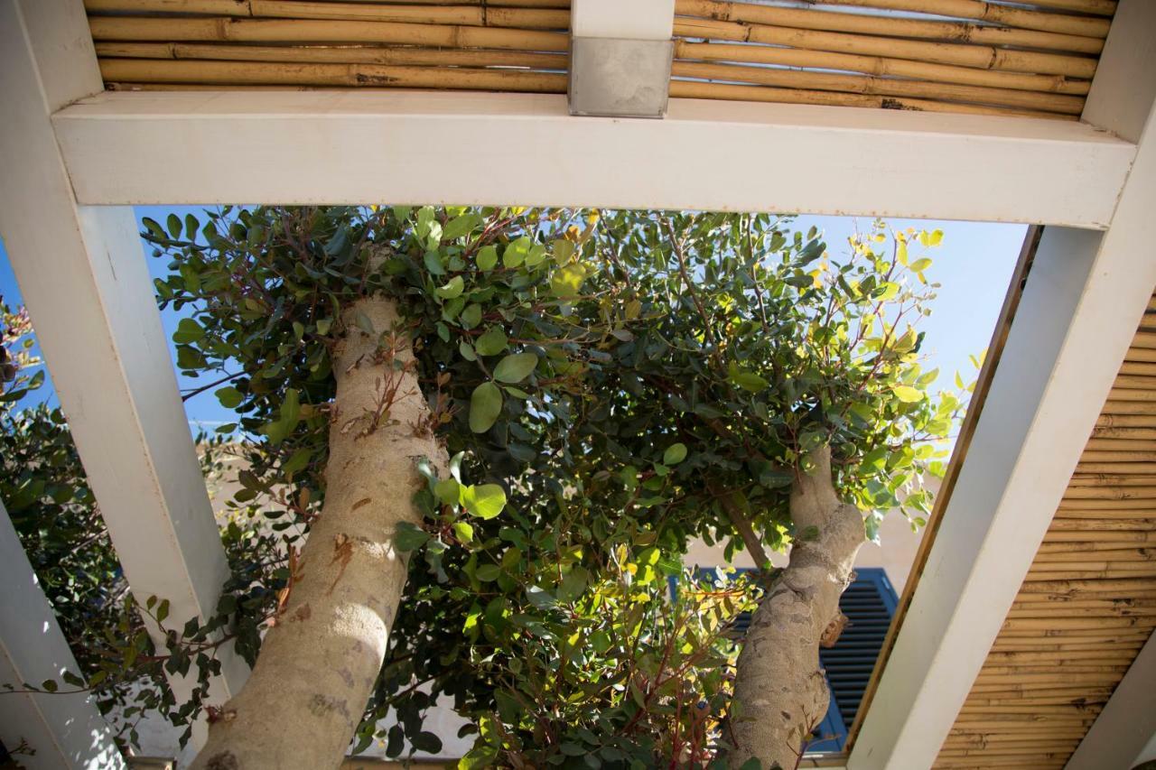 Le Suites Del Carrubo Favignana Luaran gambar
